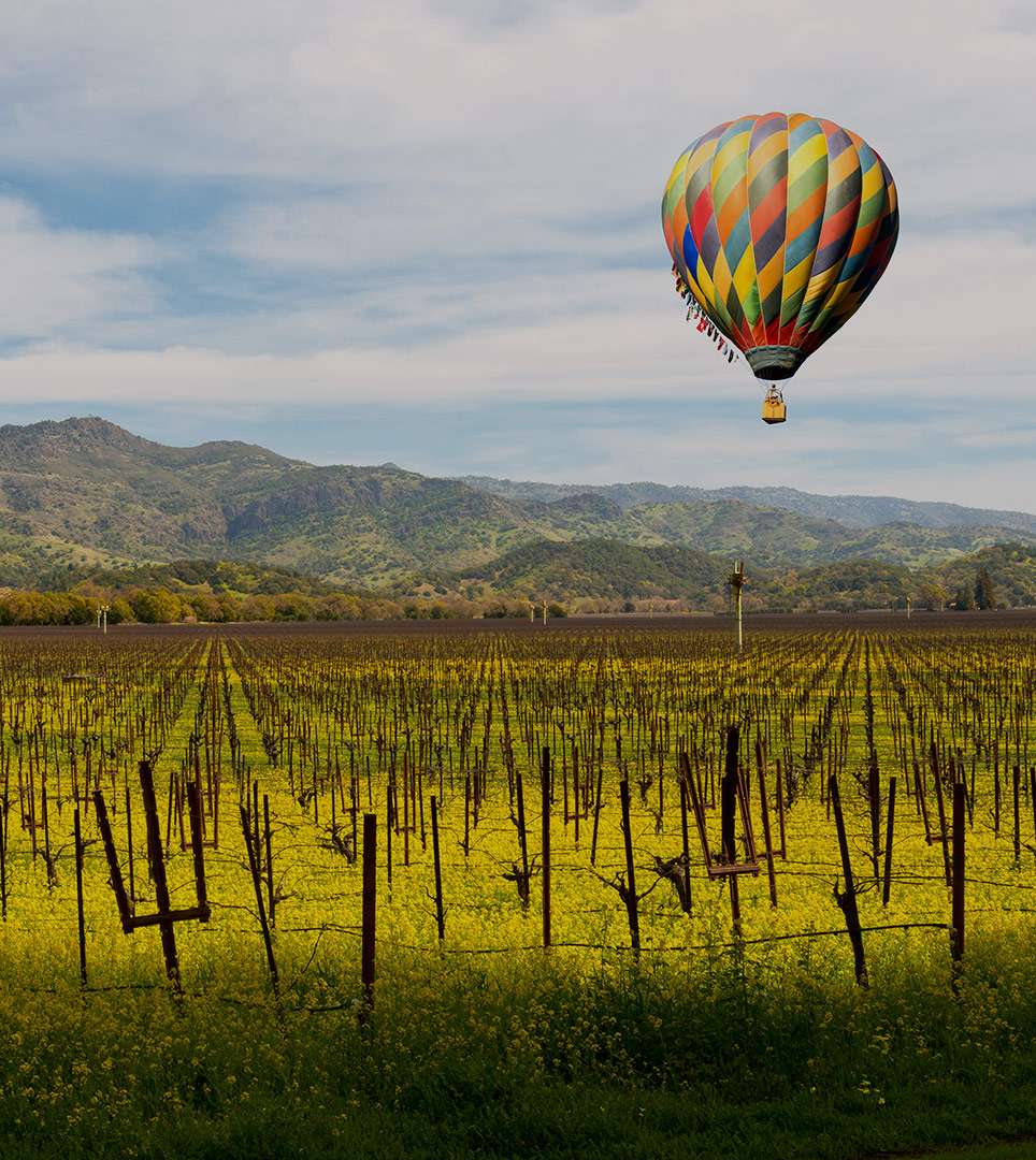 EXPLORE NEARBY SHOPPING, ENTERTAINMENT, AND WINERIES IN NAPA