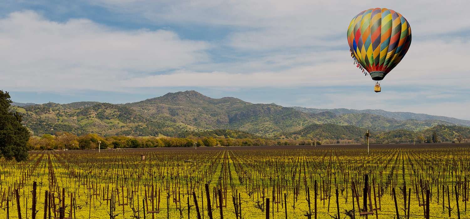 EXPLORE NEARBY SHOPPING, ENTERTAINMENT, AND WINERIES IN NAPA