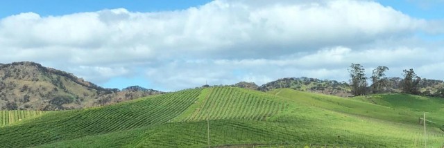 The Best Ways to See Napa The Best Ways to See Napa